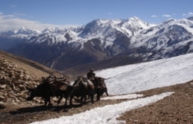 Nepal Trust Projects