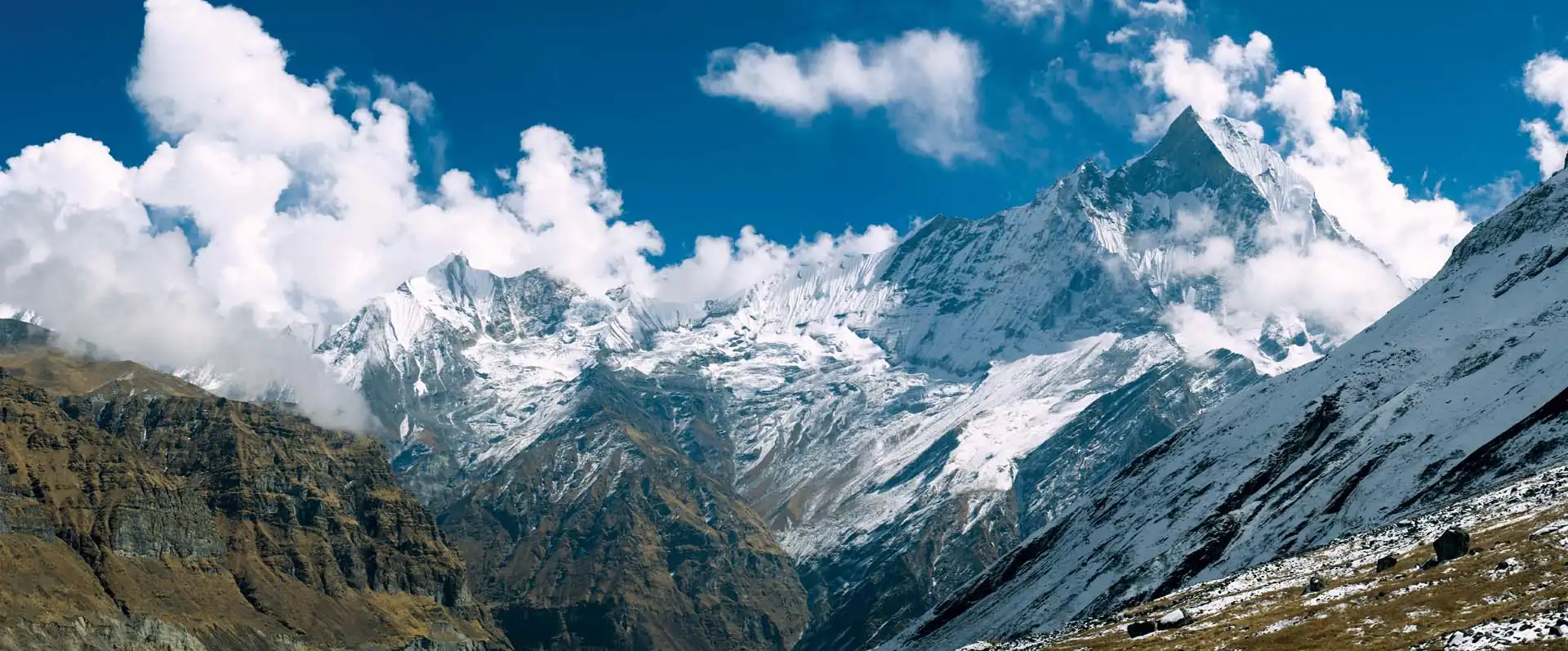 The Nepal Trust